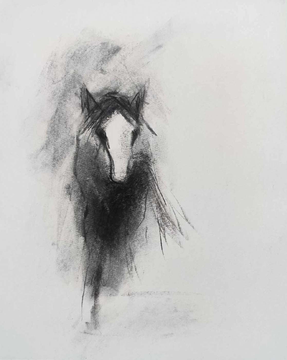 Dessin fusain Cheval