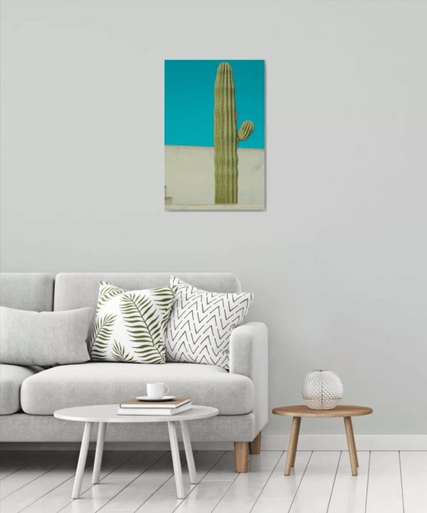 Cactus, photographie d'art – Image 2