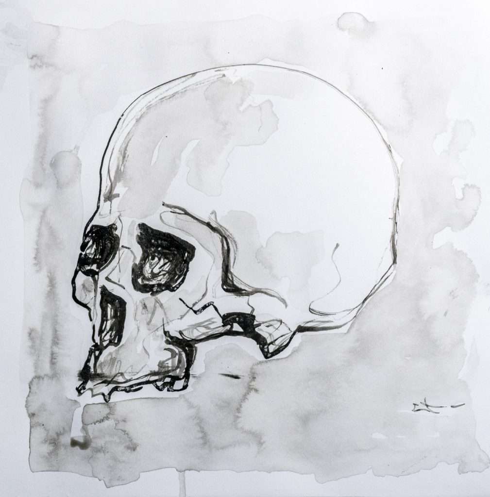 Dessin encre, Crâne