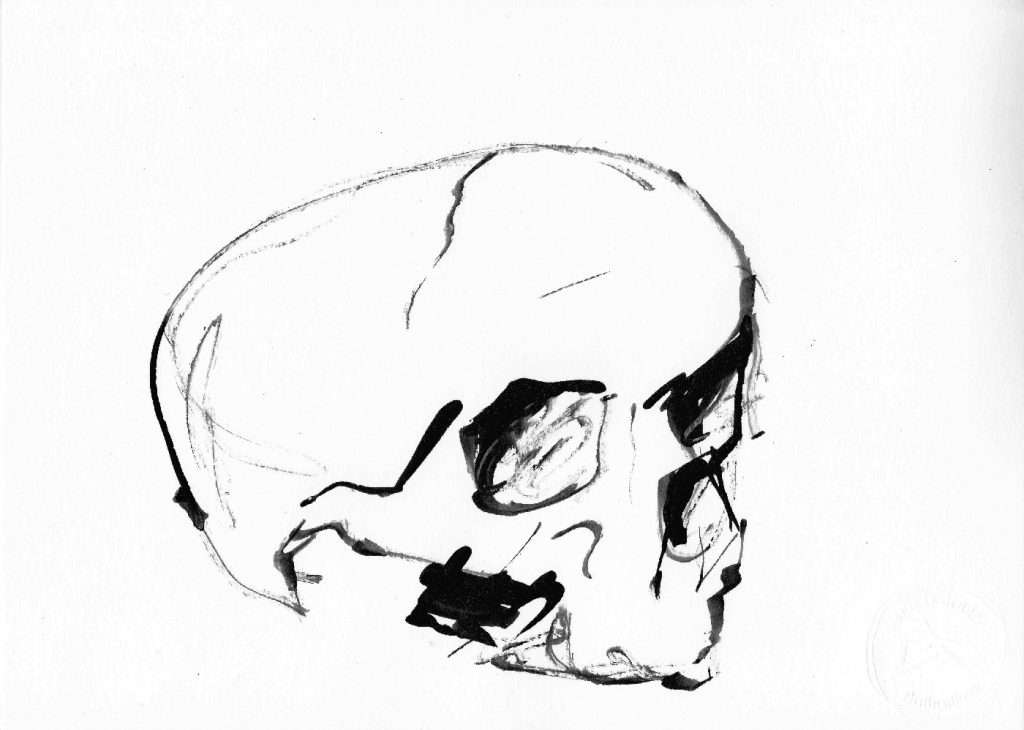 Dessin Crâne, encre de chine