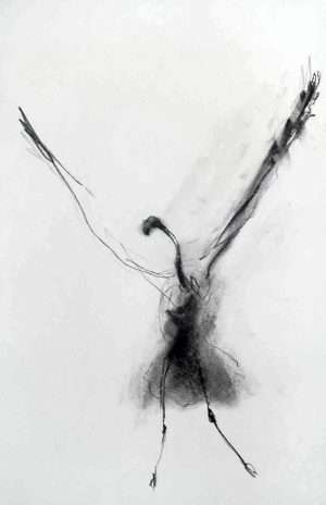 Dessin fusain, flamant