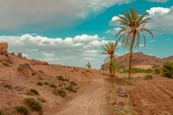Photographie d'art, Maroc