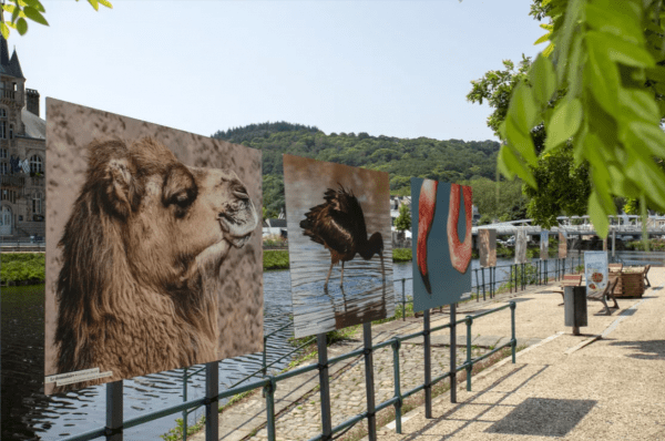 Grande Photographie d'art, Flamant rose - Exposition 2023 – Image 4
