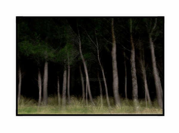 Grande Photographie d'art encadrée, Forêt de pins la nuit. Sur papier japonais Awagami – Image 2