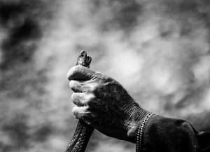 Photographie d'art, Le cobra de Fint
