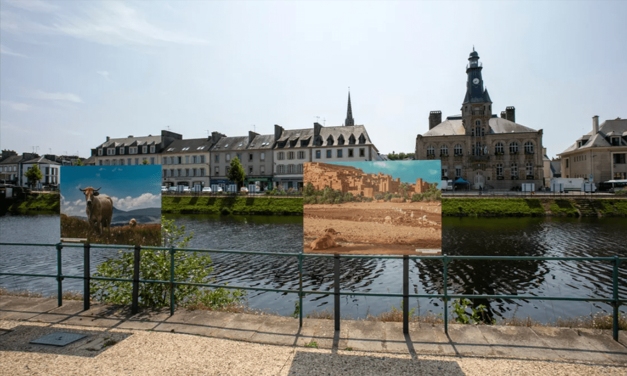 Grande Photographie d'art, Le chien et le ksar - Exposition 2023 – Image 4