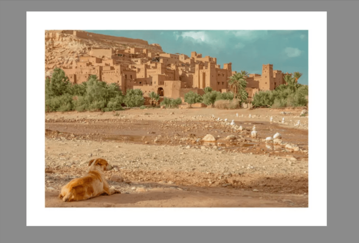 Grande Photographie d'art, Le chien et le ksar - Exposition 2023 – Image 2