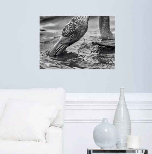 Photographie d'art, Le flamant – Image 2