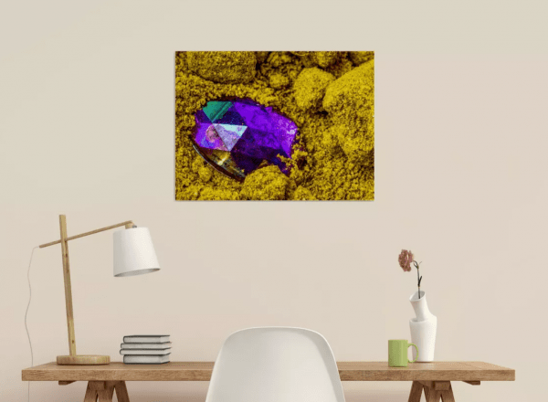 Photographie d'art, Maharaja – Image 2