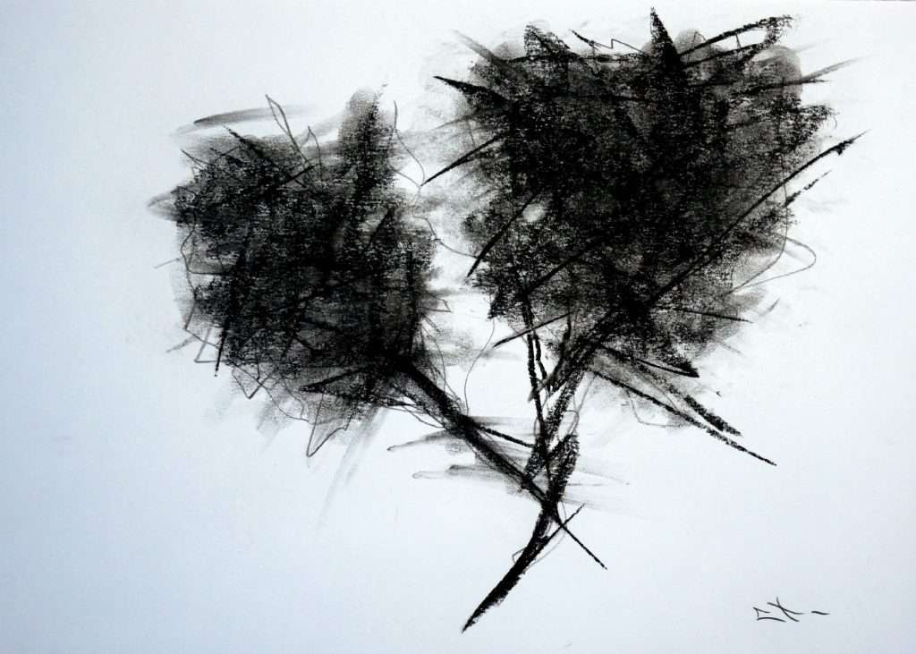 Dessin fusain, arbre