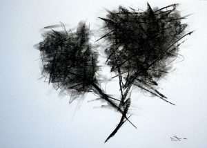 Dessin fusain, arbre