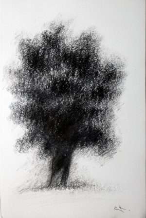 Dessin fusain, arbre