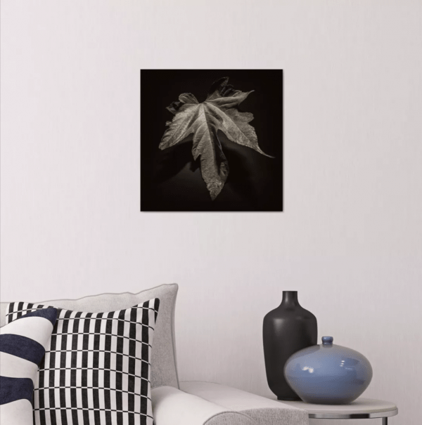 Photographie d'art, Phénix – Image 2