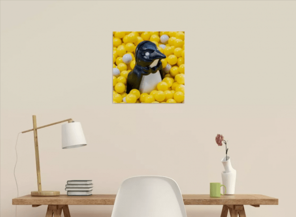 Photographie d'art sur alu-dibond, Plastik Bankyz – Image 2