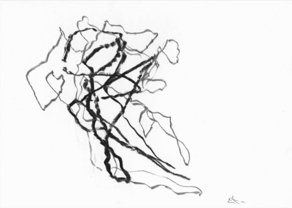 dessin au fusain d'arbre expressionniste par Lionel Le Jeune