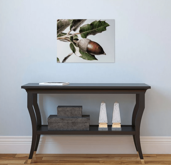 Grande Photographie d'art, Chêne – Image 2
