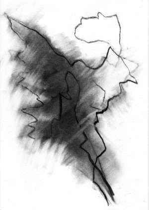 Dessin fusain, arbre