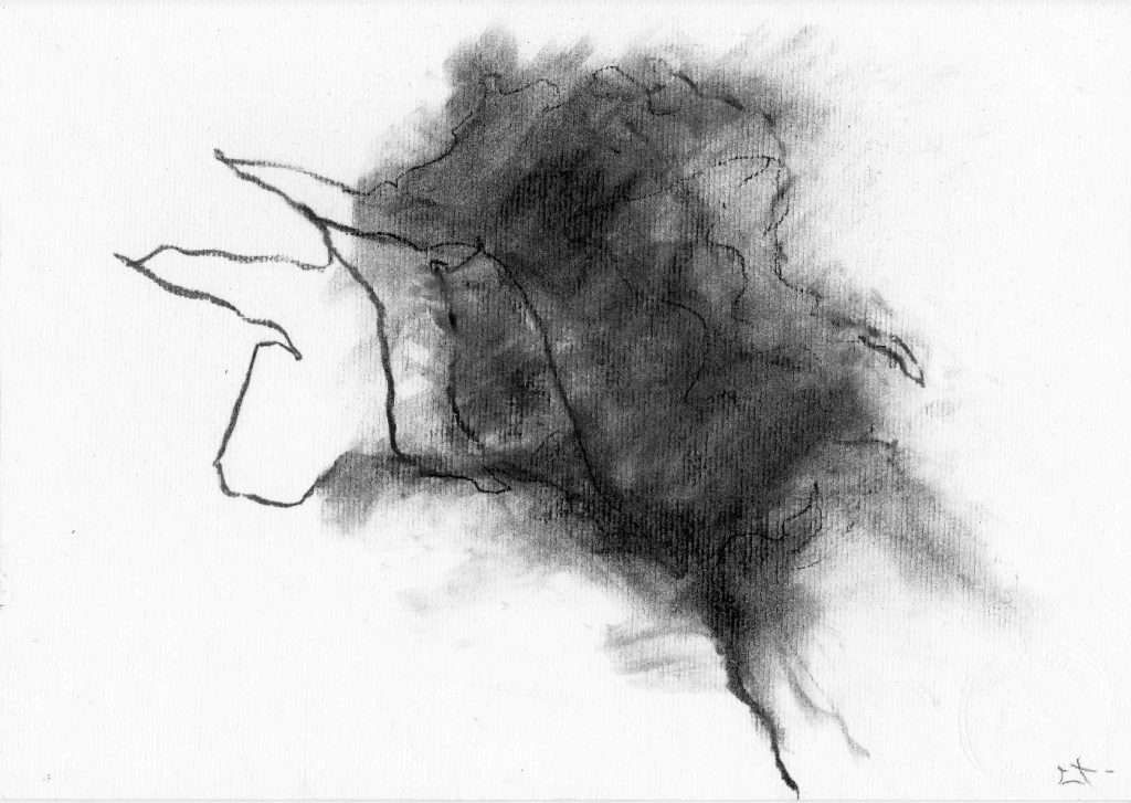 dessin au fusain d'arbre expressionniste par Lionel Le Jeune