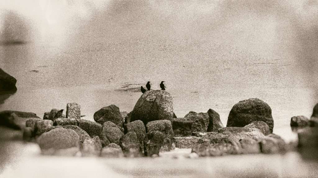 Photographie d'art, Allée couverte du Kernic