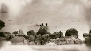 Photographie d'art, Allée couverte du Kernic