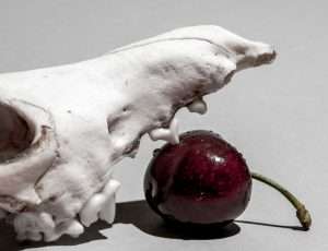Photographie d'art, CroKeur
