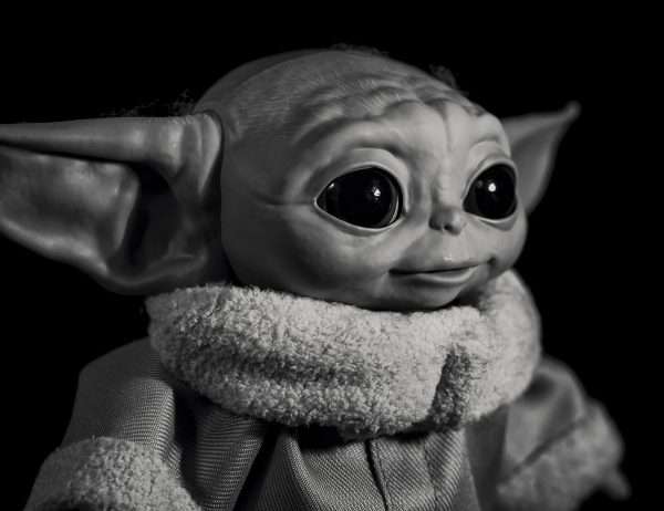 Photographie d'art, Portrait de Grogu 1