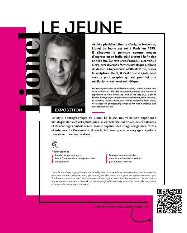Grande Photographie d'art, Flamant rose - Exposition 2023 – Image 6