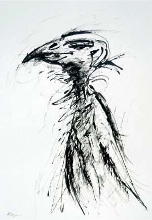 Dessin Vautour, portrait animalier