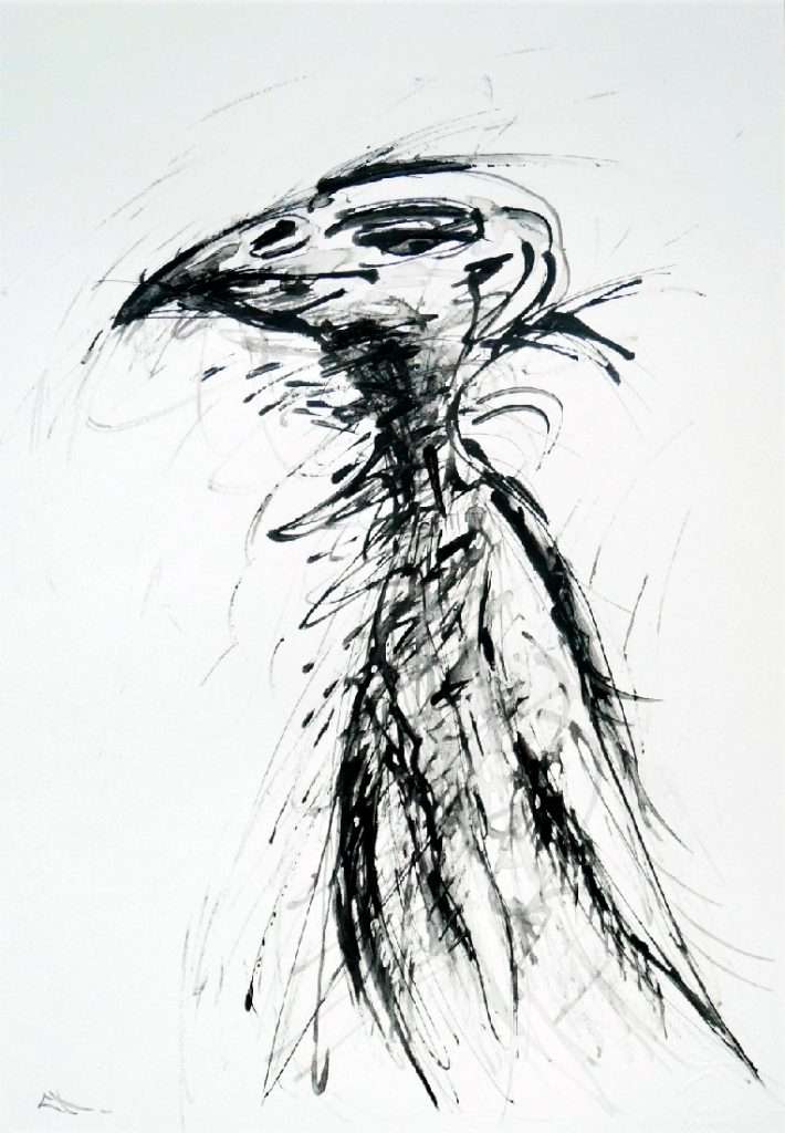 Dessin Vautour, portrait animalier
