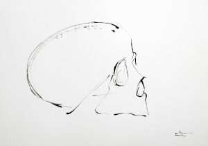 Dessin encre, Crâne