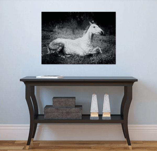 Grande photographie noir et blanc - Cheval onirique - – Image 2
