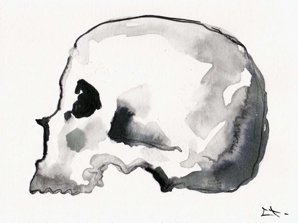 dessin à l'encre de chine d'un crâne humain par Lionel Le Jeune