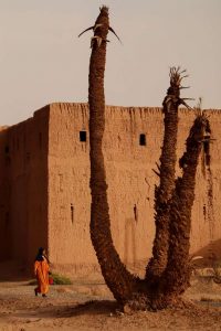 Photographie d'art paysage au su Maroc, tirage limité par Lionel Le Jeune