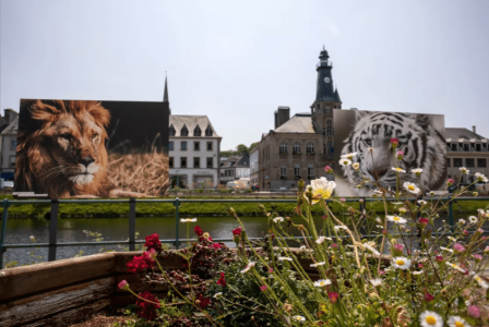 exposition à Chateaulin bretagne de photos animalières grand format par Lionel Le Jeune