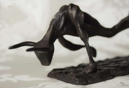 bull6