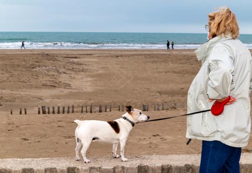 chien femme beach